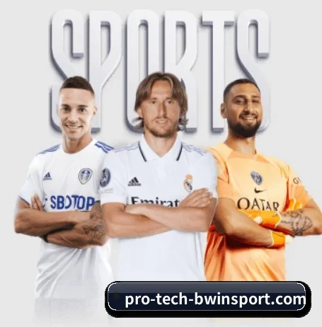 必赢体育 APP 界面（Bwin Sports）