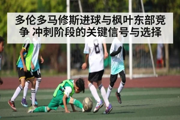 多伦多马修斯进球与枫叶东部竞争 冲刺阶段的关键信号与选择（Bwin Sports）