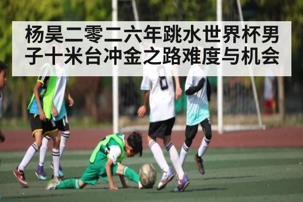 杨昊二零二六年跳水世界杯男子十米台冲金之路难度与机会（Bwin Sports）